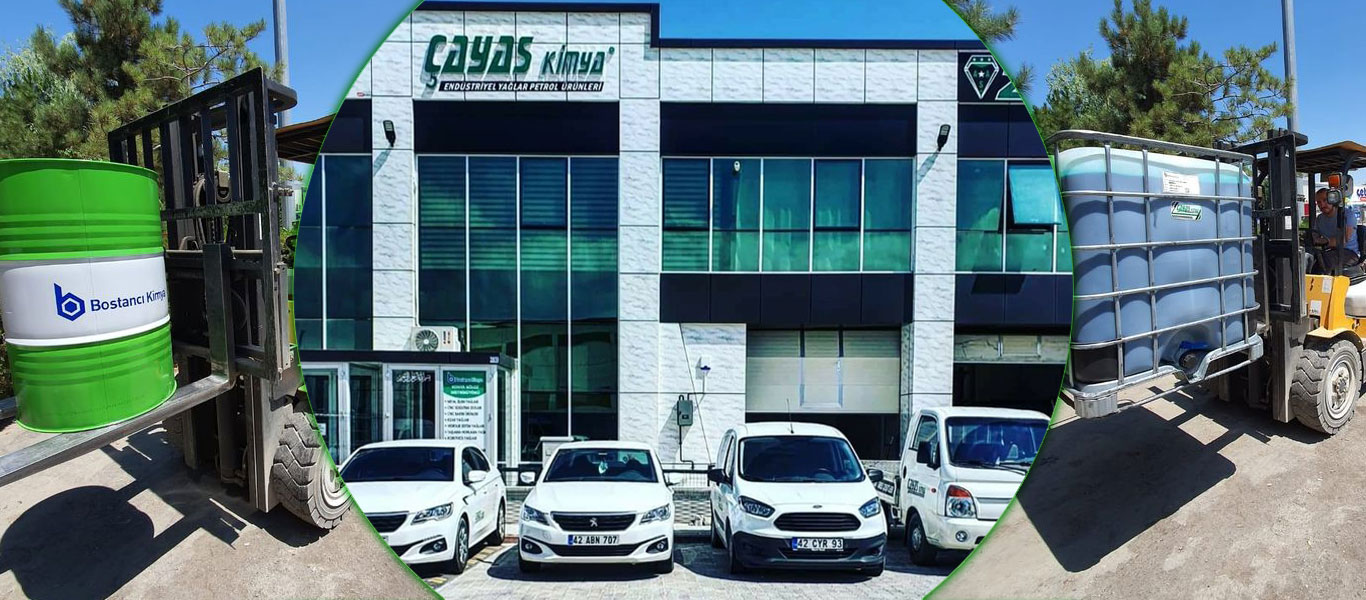 Çayas